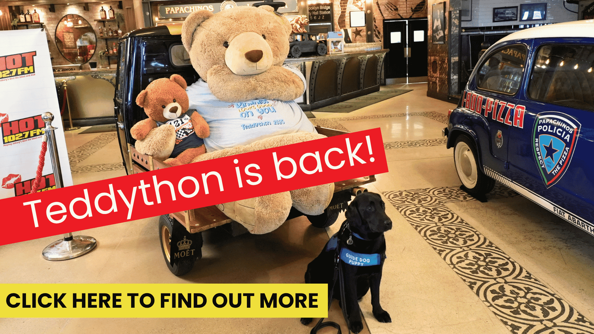 Two teddy bears on a cart, a police dog, and a blue police car are indoors. Text reads Teddython is back! with a yellow button that says CLICK HERE TO FIND OUT MORE..