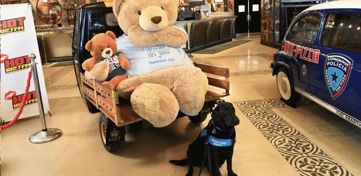 A large teddy bear and a small teddy bear sit on a cart, while a black service dog with a blue vest sits in front. Vintage cars and restaurant decor are visible in the background.