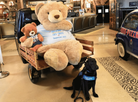 A large teddy bear and a small teddy bear sit on a cart, while a black service dog with a blue vest sits in front. Vintage cars and restaurant decor are visible in the background.