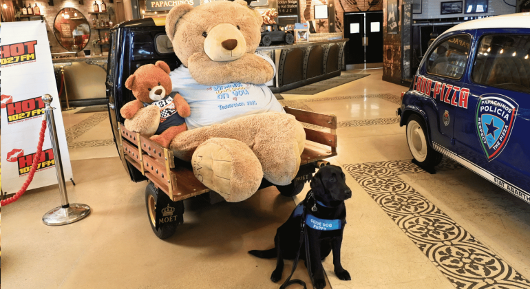 A large teddy bear and a small teddy bear sit on a cart, while a black service dog with a blue vest sits in front. Vintage cars and restaurant decor are visible in the background.