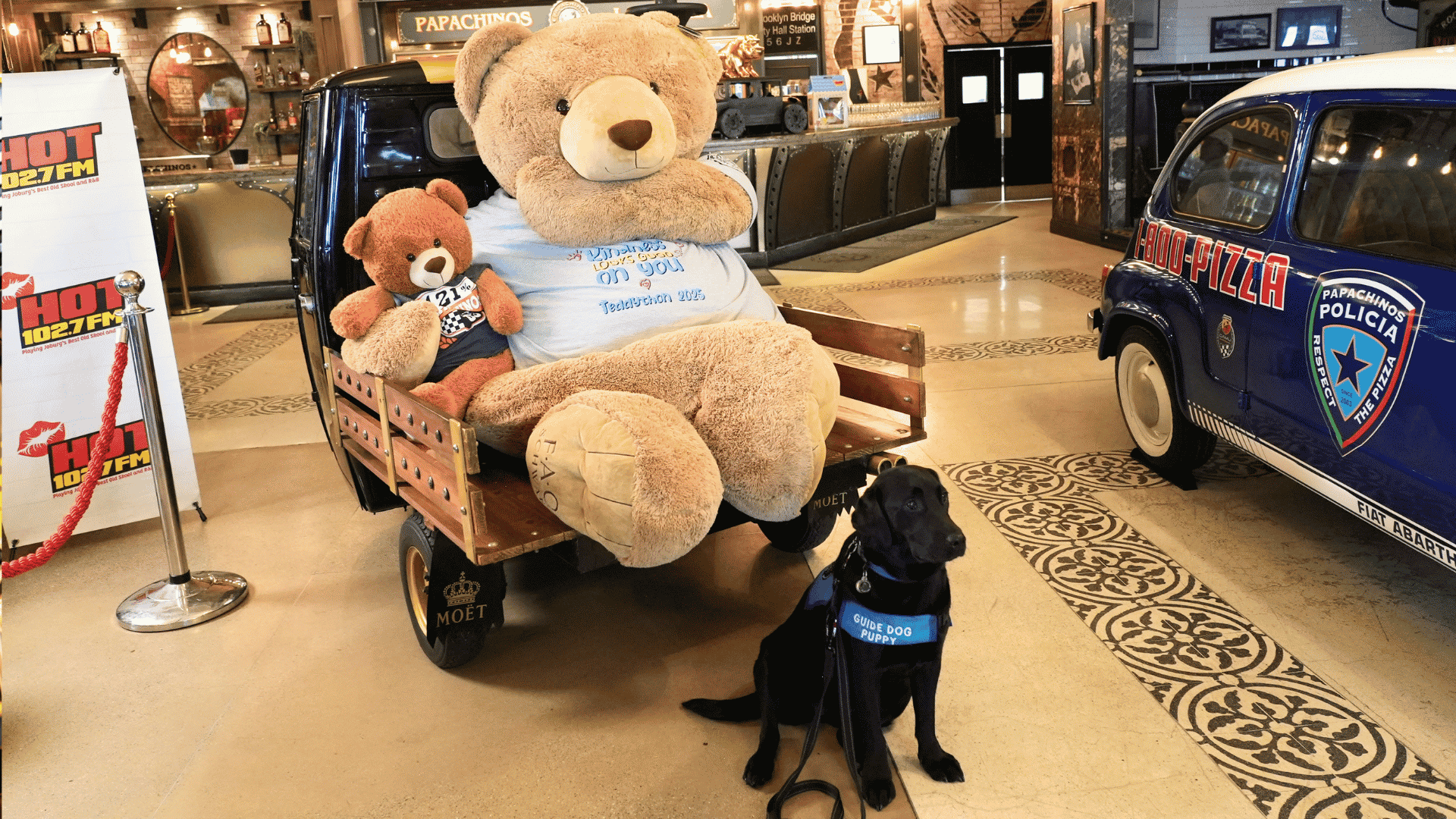 A large teddy bear and a small teddy bear sit on a cart, while a black service dog with a blue vest sits in front. Vintage cars and restaurant decor are visible in the background.