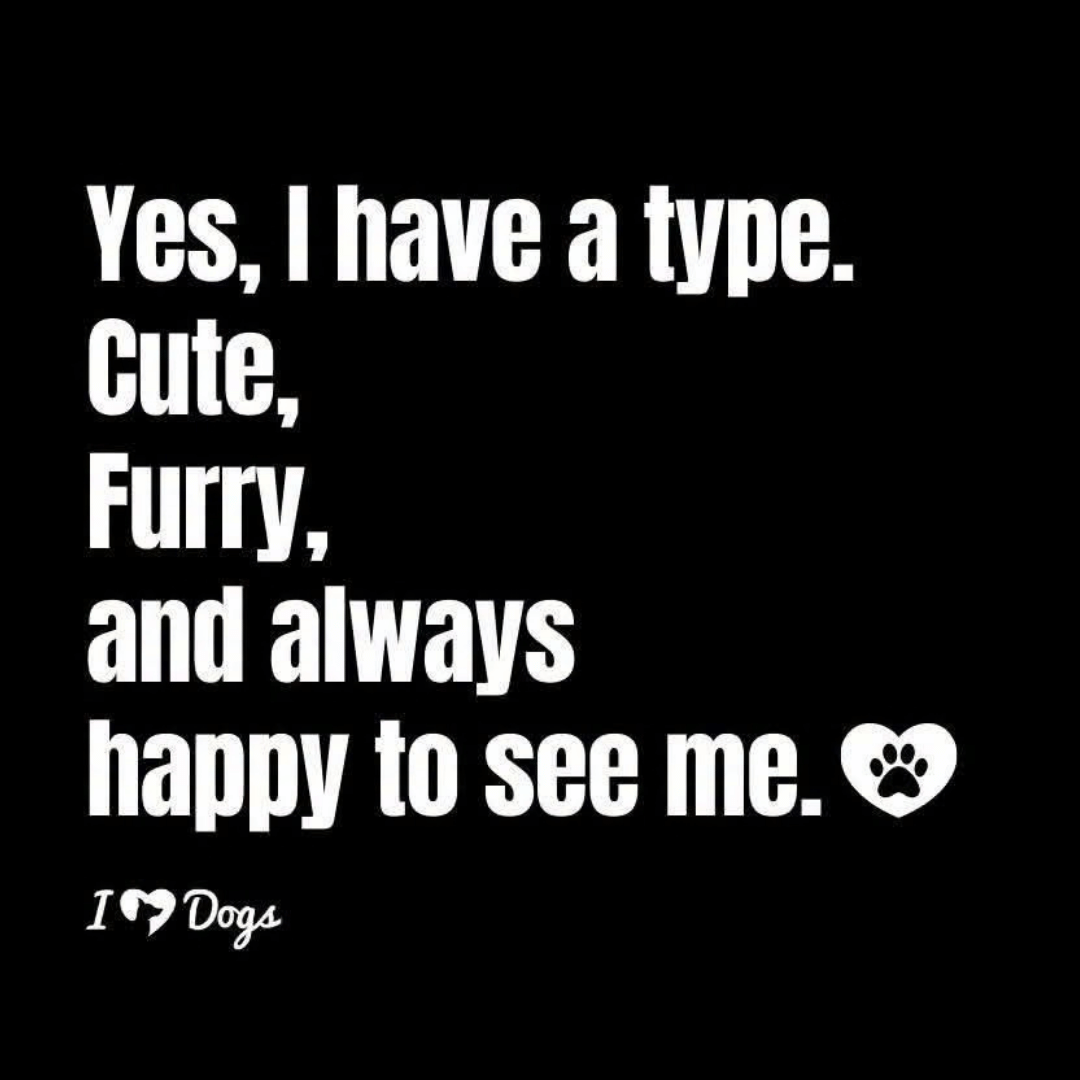 White text on a black background reads: Yes, I have a type. Cute, furry, and always happy to see me&mdash;perfect for snuggling under a cozy winter blanket. Paw print and I &hearts; Dogs are at the bottom.