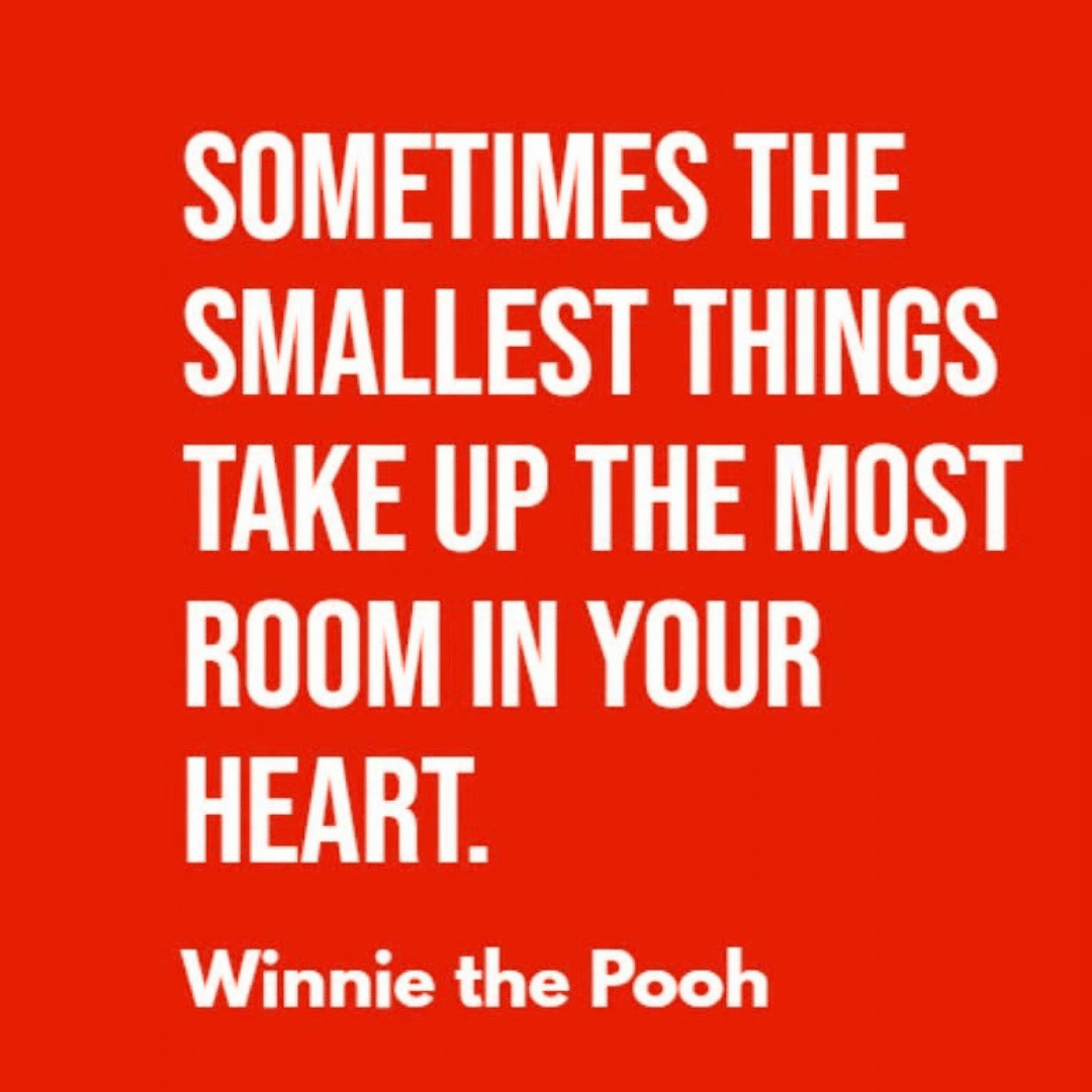 White text on a red background reads: Sometimes the smallest things take up the most room in your heart. Snuggle up with a cozy winter blanket and feel the warmth, just like Winnie the Pooh.