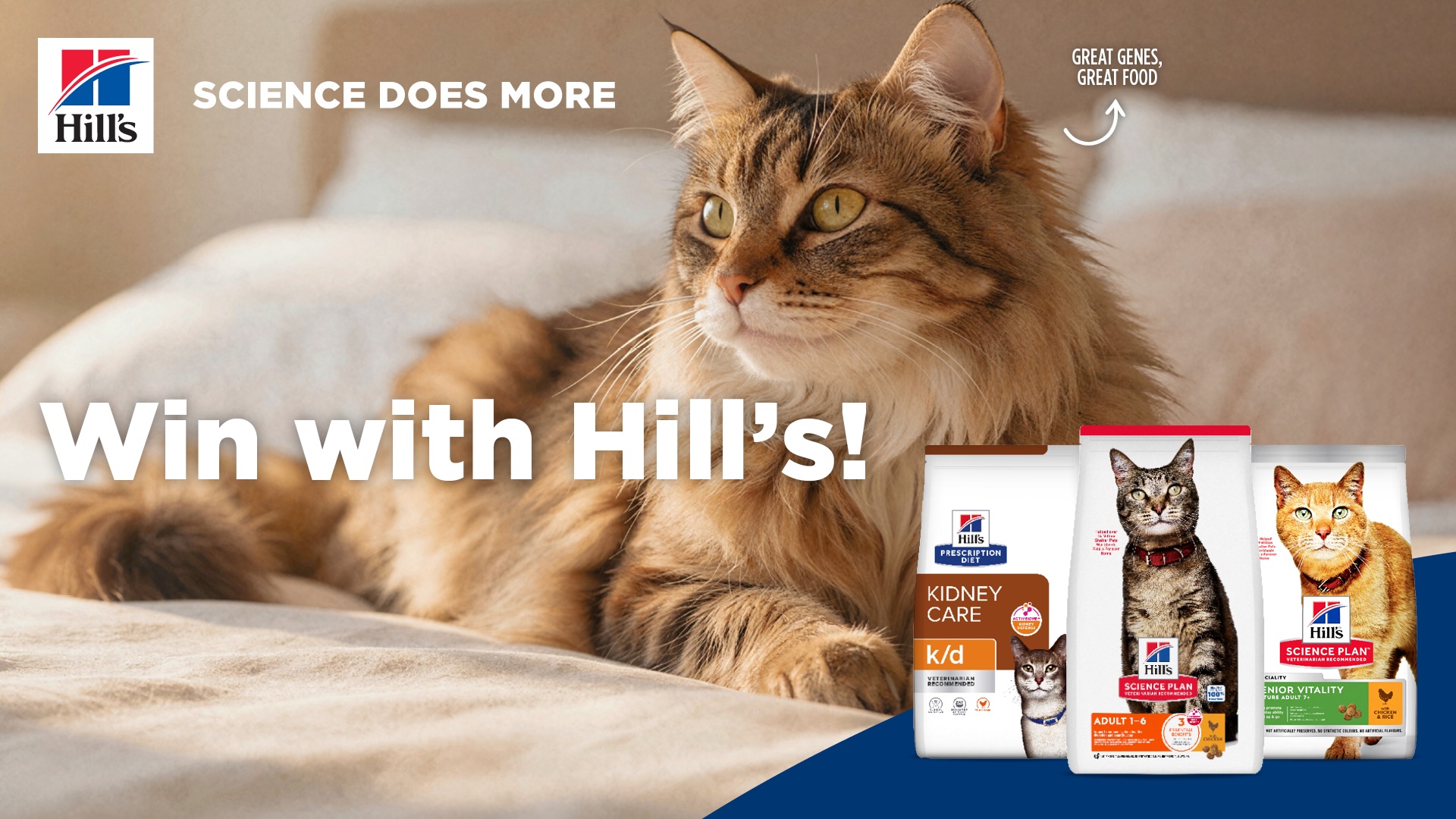 A long-haired cat lies on a bed next to three bags of Hills cat food, with the text Win with Hills! and Science does more, an Amex promotion.