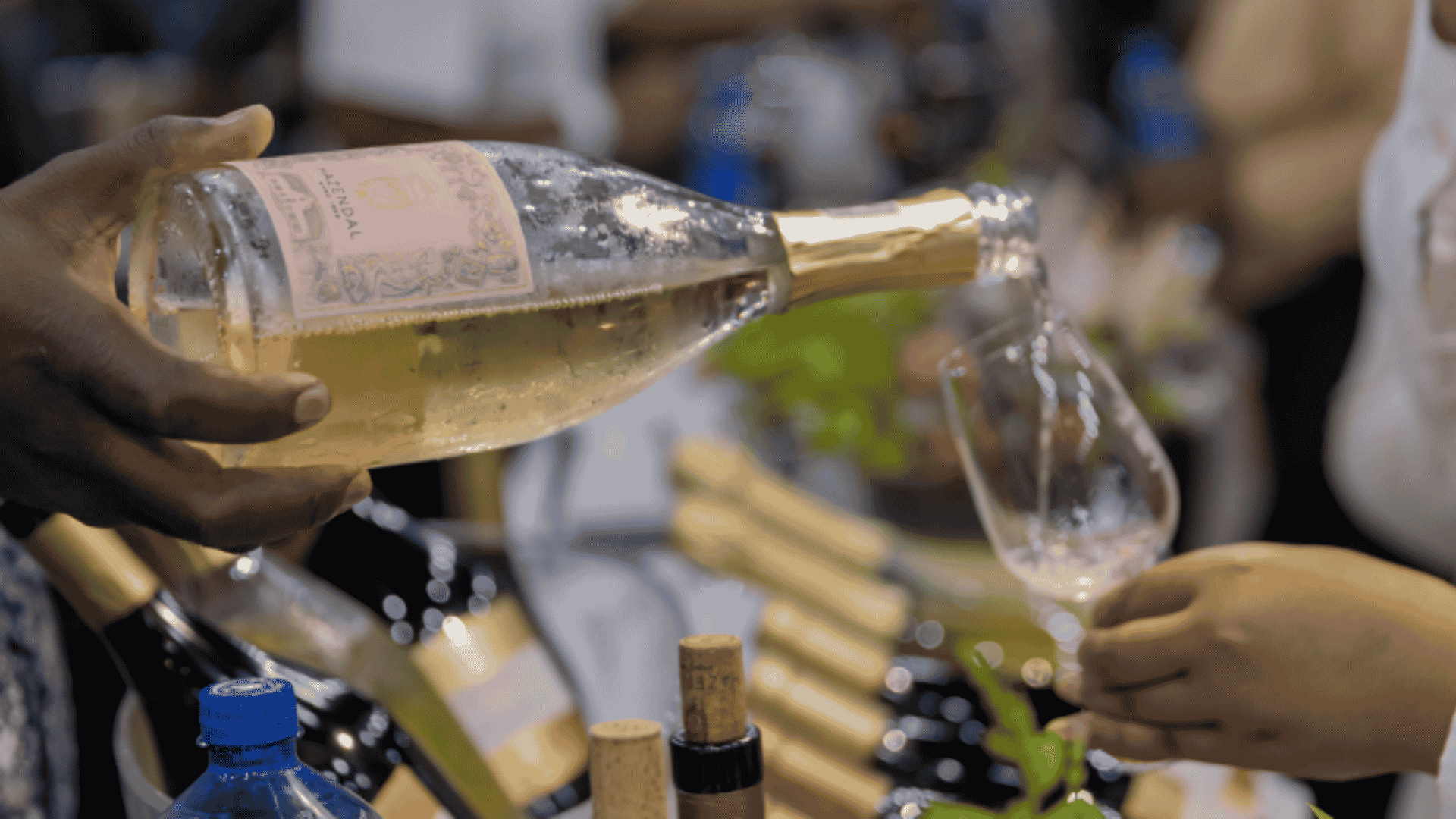 A person pours white wine from a bottle into a glass.