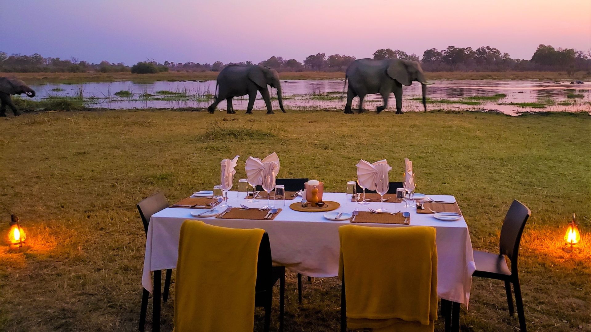 A travel dining table set outdoors at dusk with three elephants walking in the background near a river.