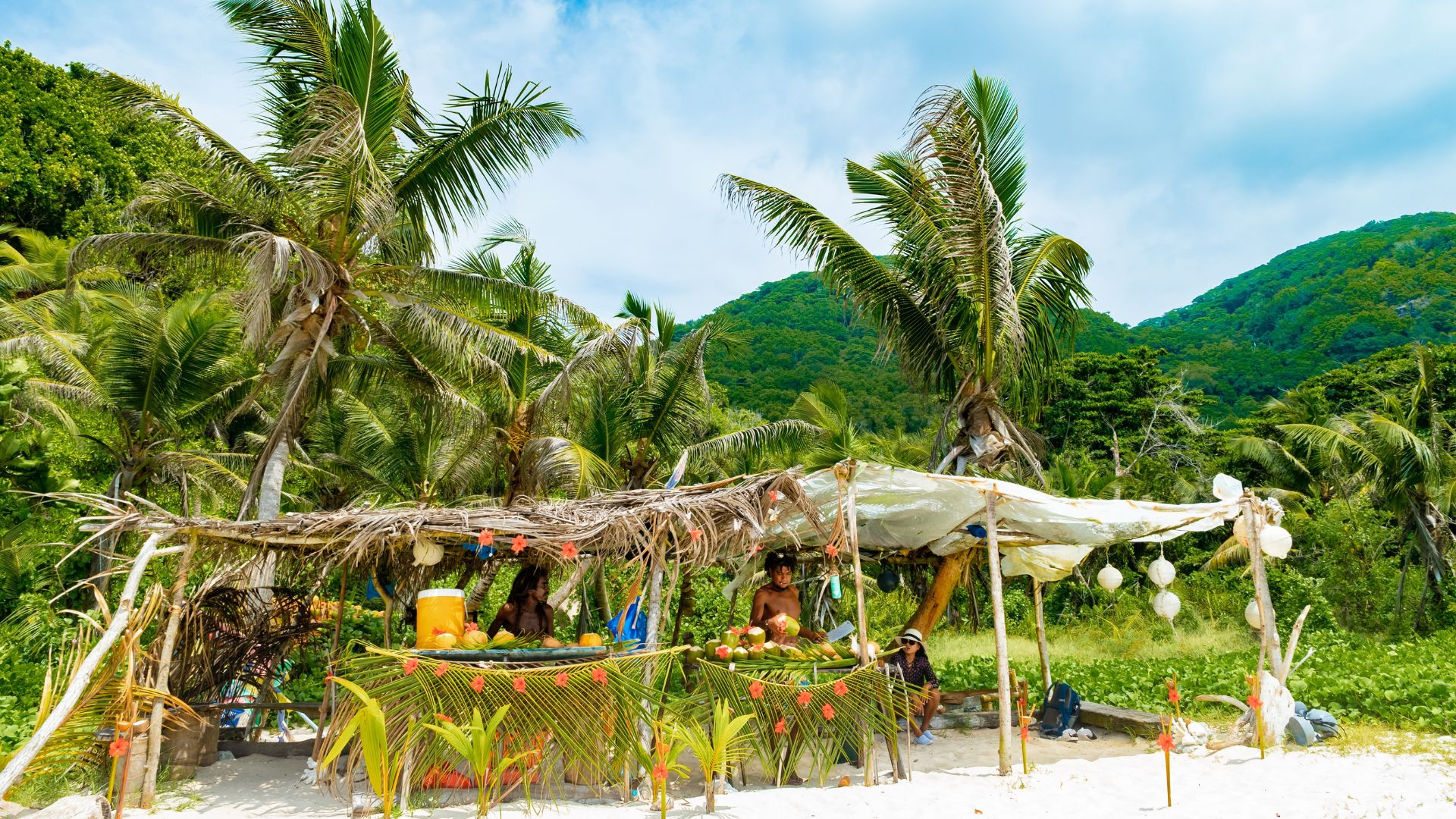 A makeshift beach stall under a thatched roof sells coconuts to travelers, with people sitting behind the counter against a backdrop of lush palm trees and mountains.