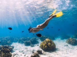 A person wearing a snorkel and yellow fins free dives over a coral reef while on their travels.