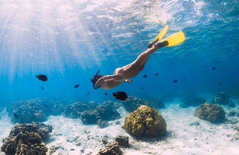 A person wearing a snorkel and yellow fins free dives over a coral reef while on their travels.