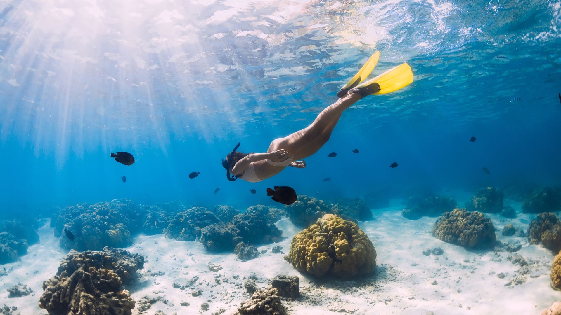 A person wearing a snorkel and yellow fins free dives over a coral reef while on their travels.