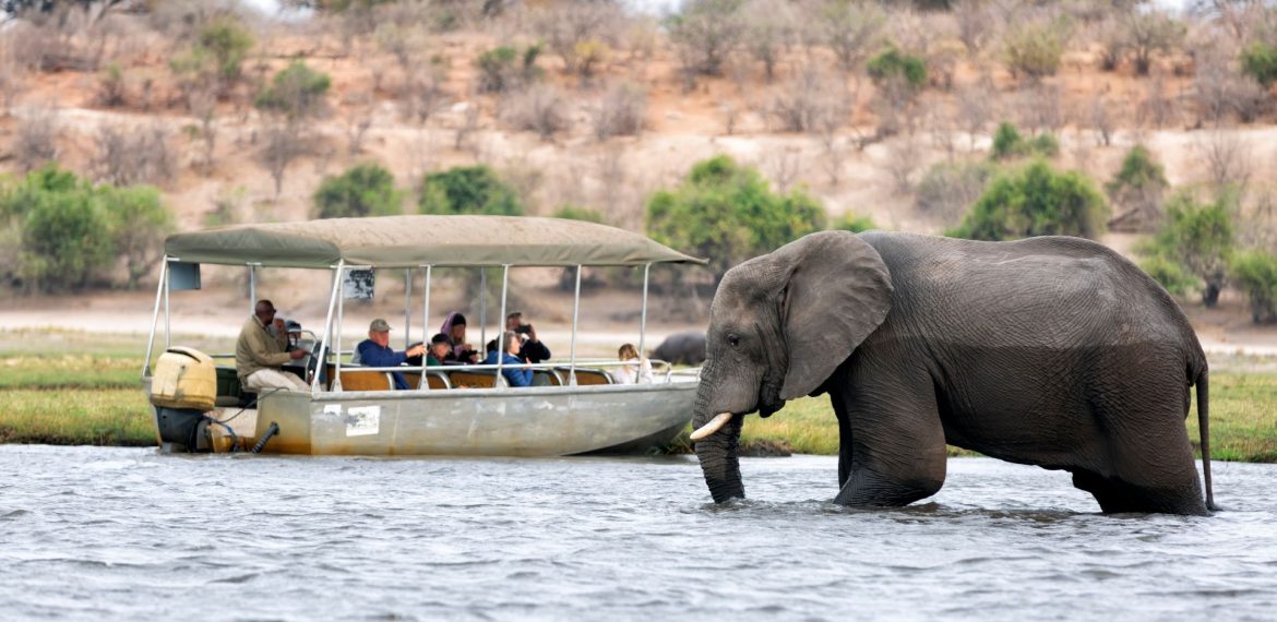 An elephant walks through shallow water past a boat full of people on a travel safari tour.