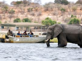 An elephant walks through shallow water past a boat full of people on a travel safari tour.