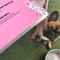 A French Bulldog sits on green grass next to a metal water bowl, looking up. Beside the dog is a pink floral café menu featuring a “Furry Friend Meal” for pets, perfect for celebrating Heritage Day with your four-legged companion.