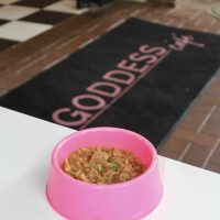 A pink bowl filled with pet food sits on a white table in front of a black floor mat with the words GODDESS café written in pink. The background shows a tiled floor and a brick wall near the entrance.
