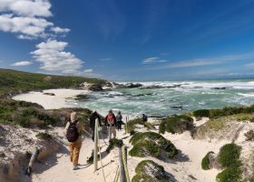 A path leading down to the wild, untouched coastline of De Hoop Nature Reserve.