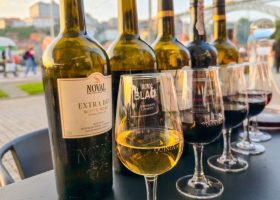 Several wine bottles and glasses of white and red port wine sit on a table during a travel excursion outdoors.